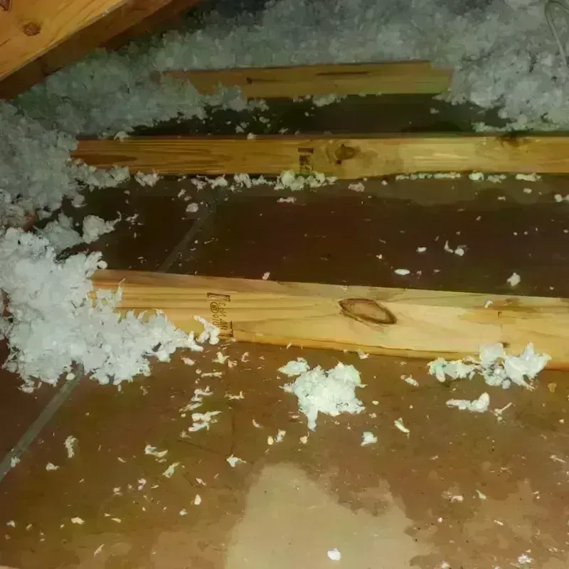 Attic Water Damage in Shirley, MA