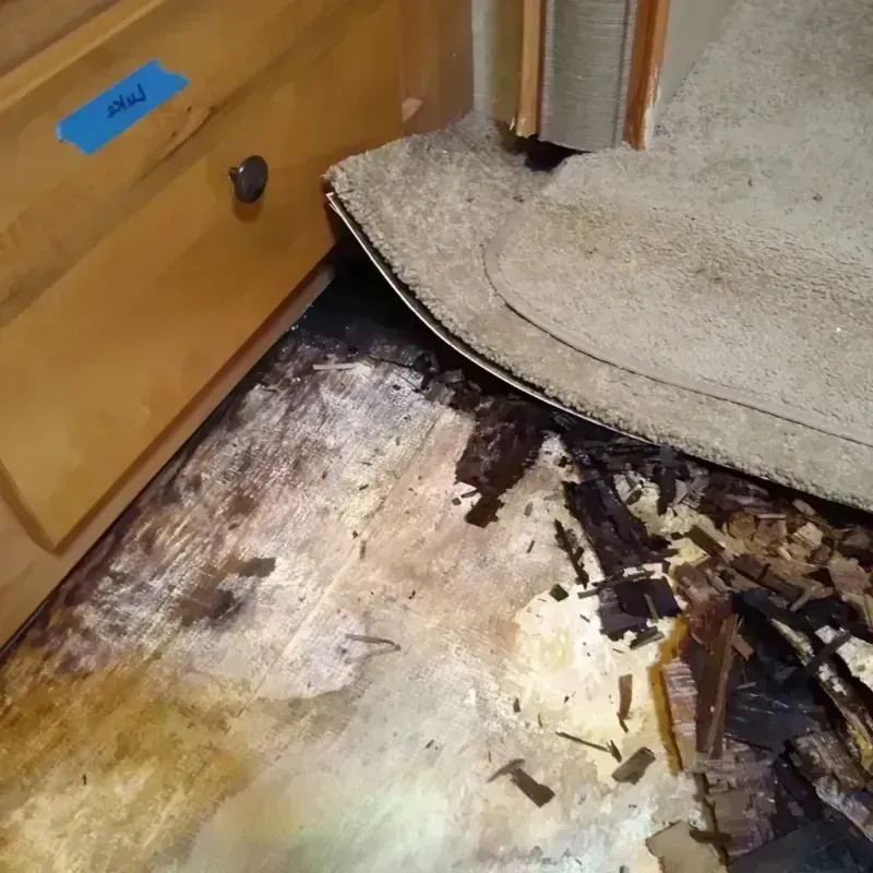 Best Wood Floor Water Damage Service in Shirley, MA